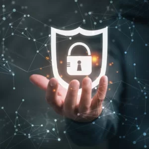 Data Breaches, Cybersecurity Regulation and Ensuing Litigations